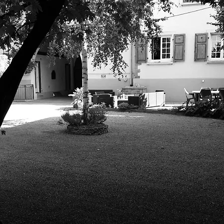 Les Cocottes Apartment Zellwiller