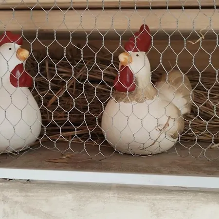 Les Cocottes * Zellwiller